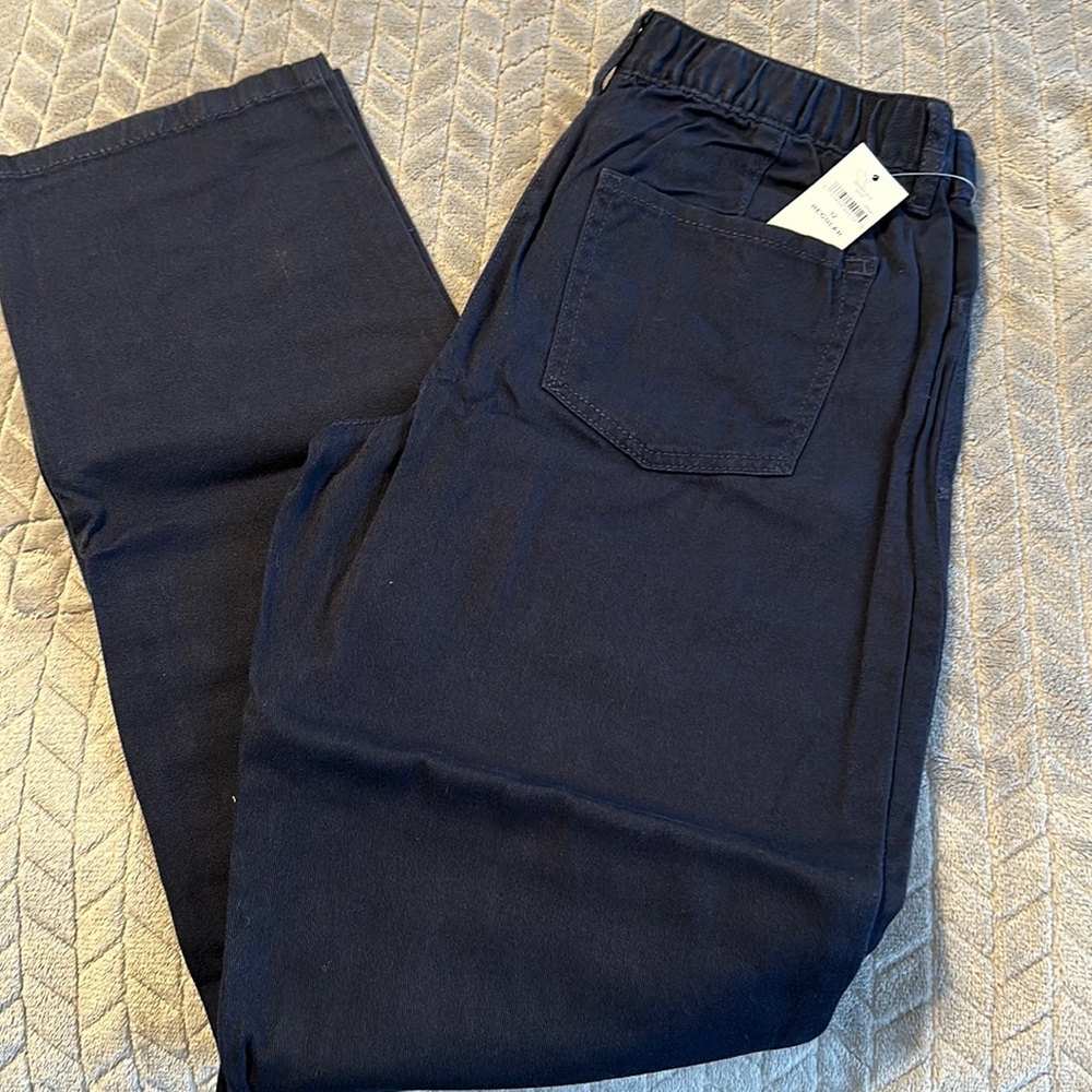GAP Girls Pants Youth Size 12 Reg Blue School
Uniform Straight Leg Relaxed Fit